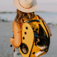 Bags and carriers for animals